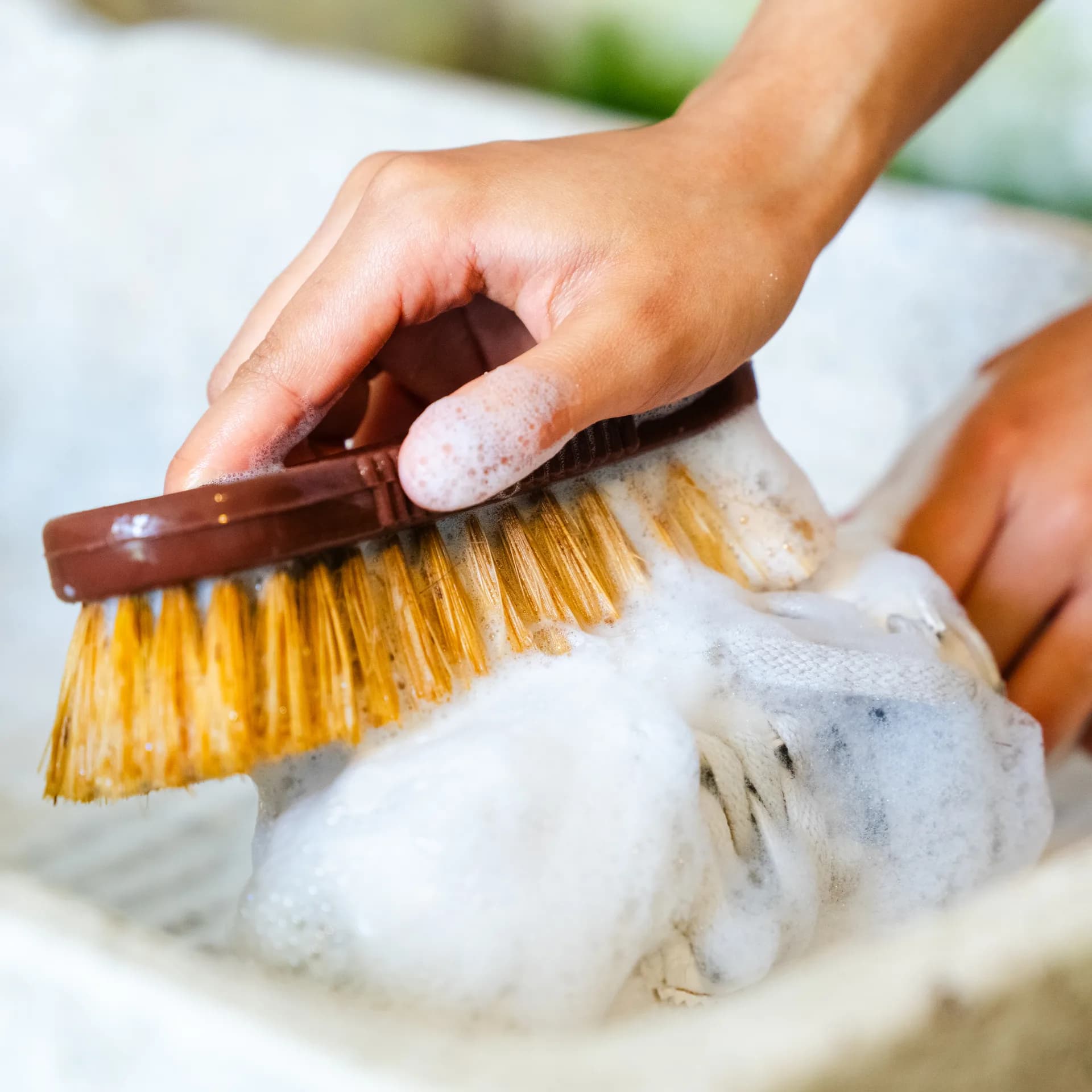 Rebranding for a Leading Mexican Cleaning Supply Company